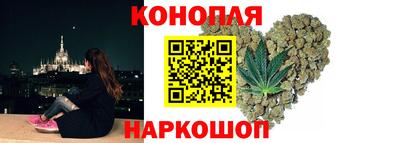 гидра Краснознаменск