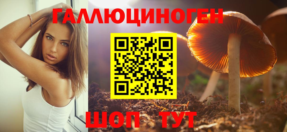 Кизилюрт  Галлюциногенные грибы мухоморы  Вход с VPN 