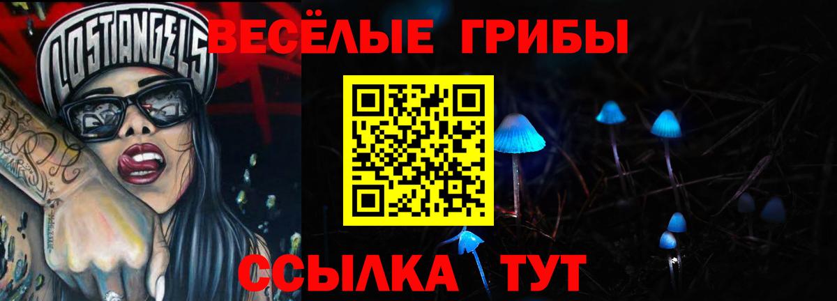 Галлюциногенные грибы MAGIC MUSHROOMS Кизилюрт
